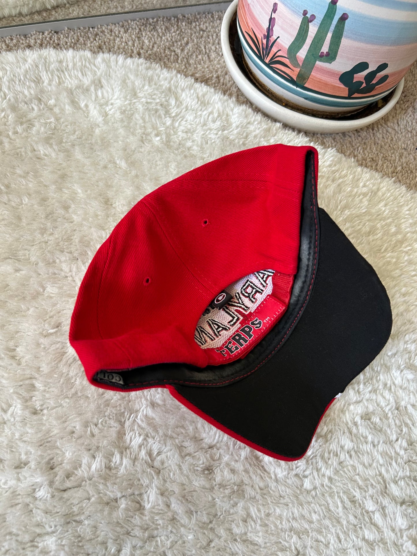 Vintage UMD Dad hat