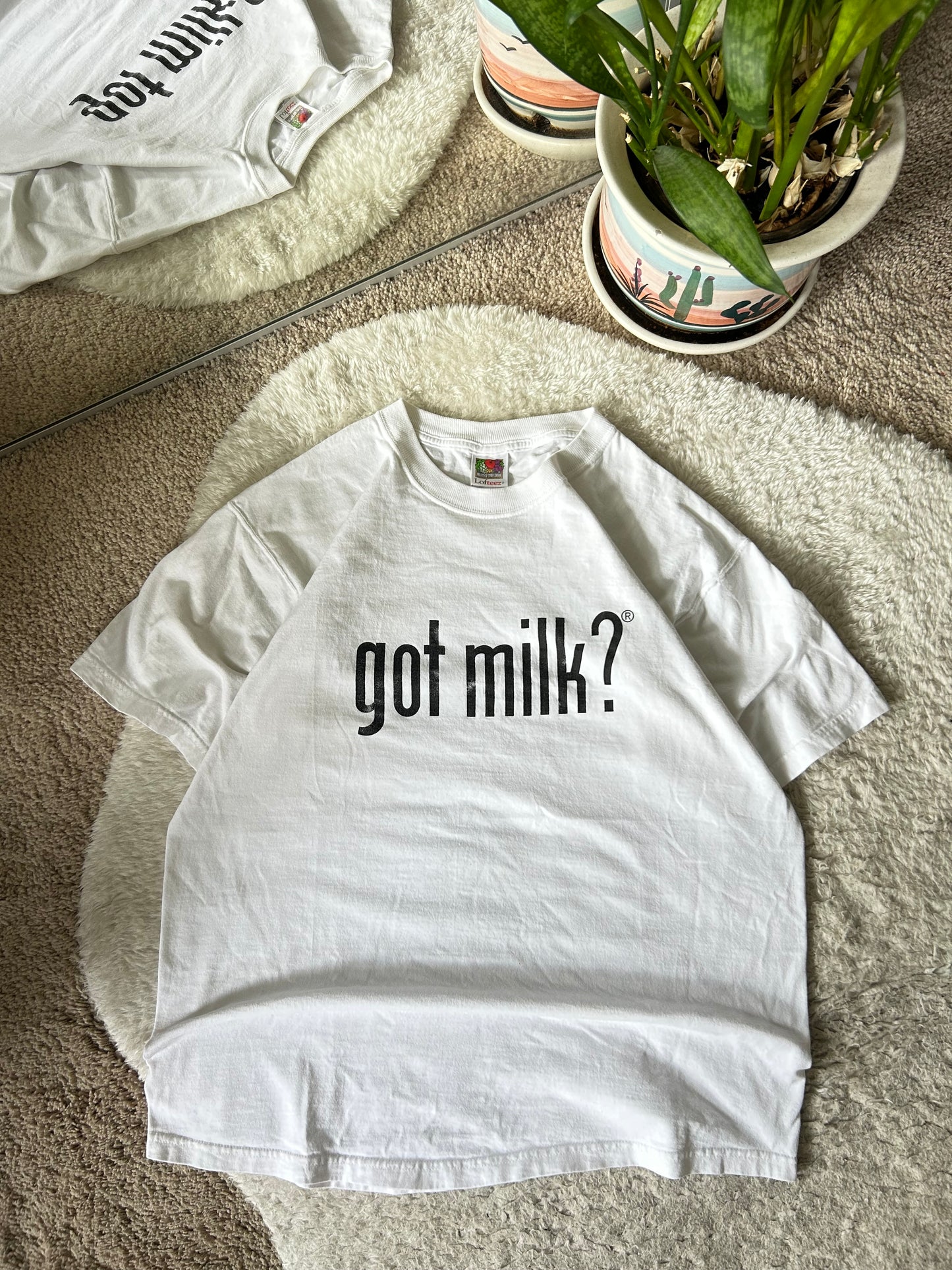 90s Got Milk? Promo