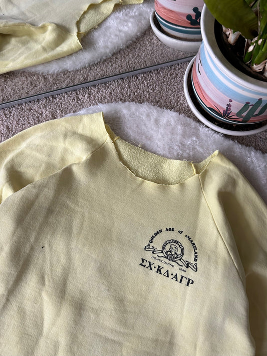 1989 Sigma Chi, Kappa Delta & AGR Homecoming Chopped Sweater