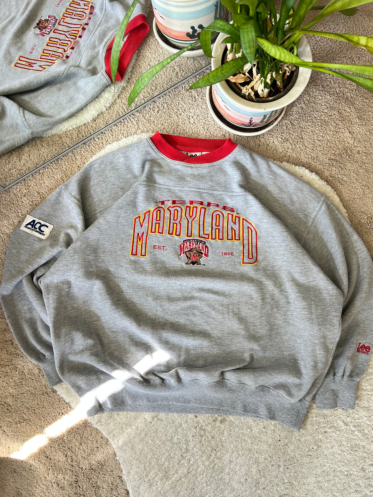 90s UMD Lee Sports Sweater