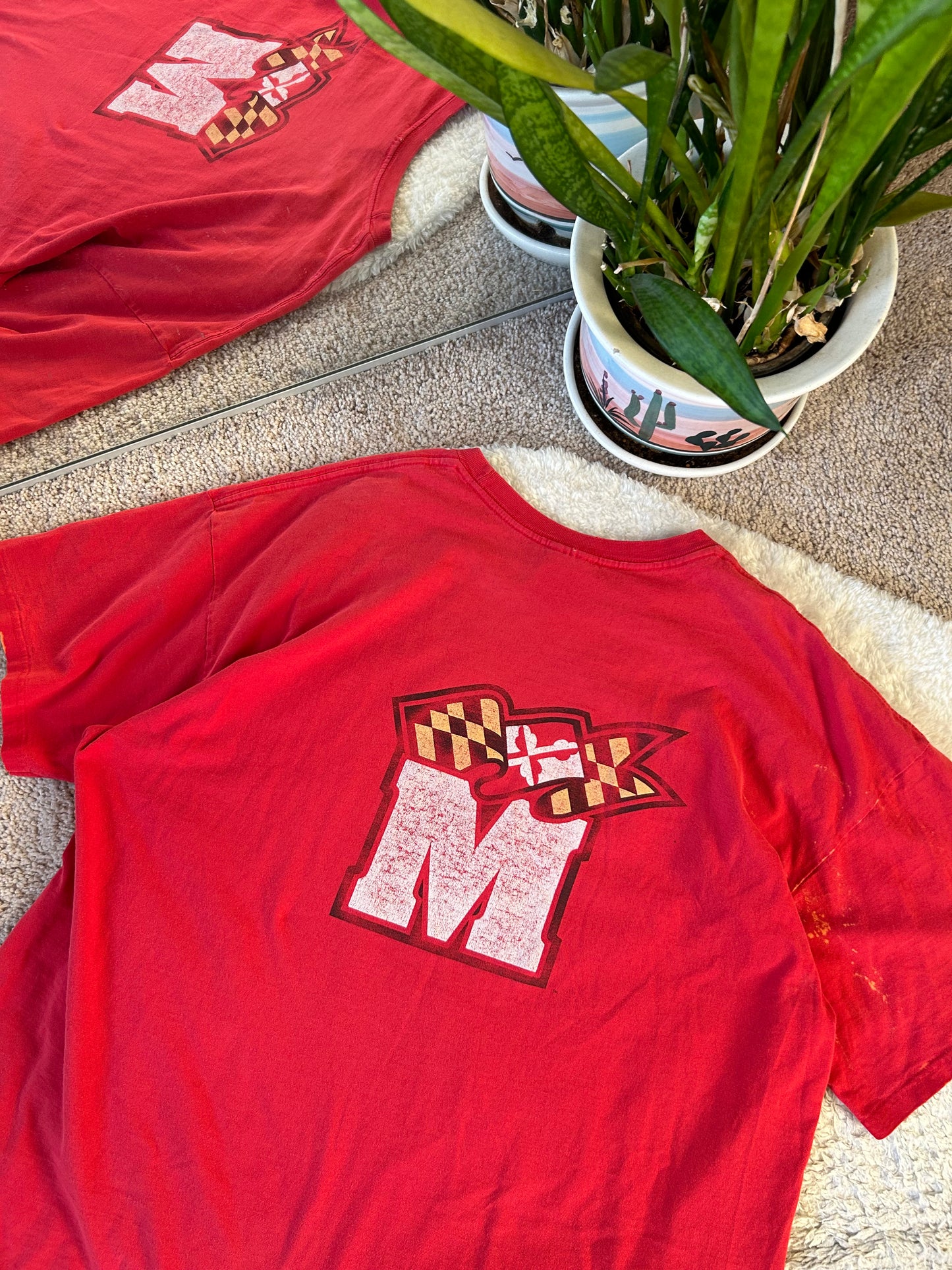 Vintage ✔️ UMD Go Terps tee