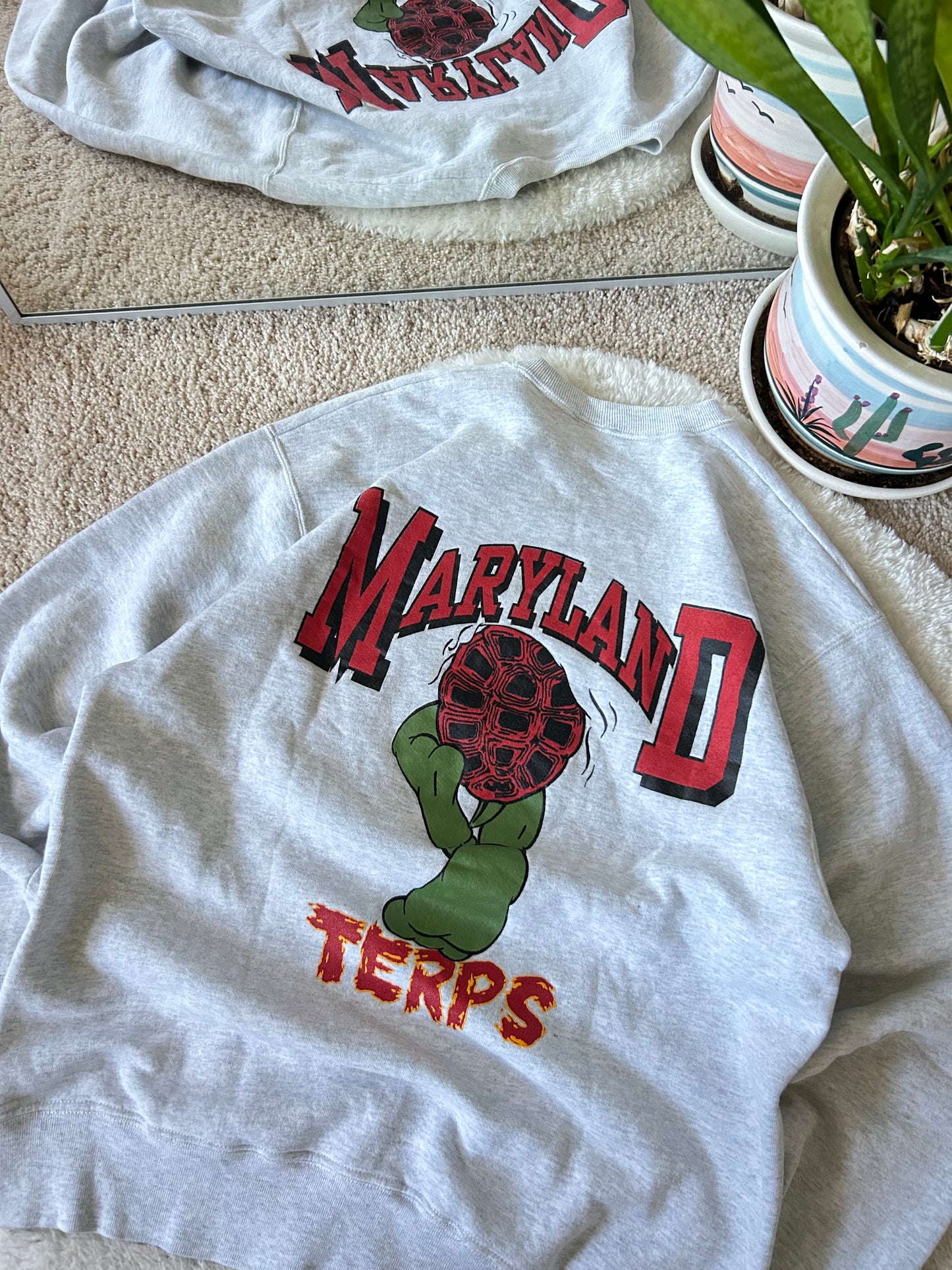 90s UMD Turtle Explosion Sweater