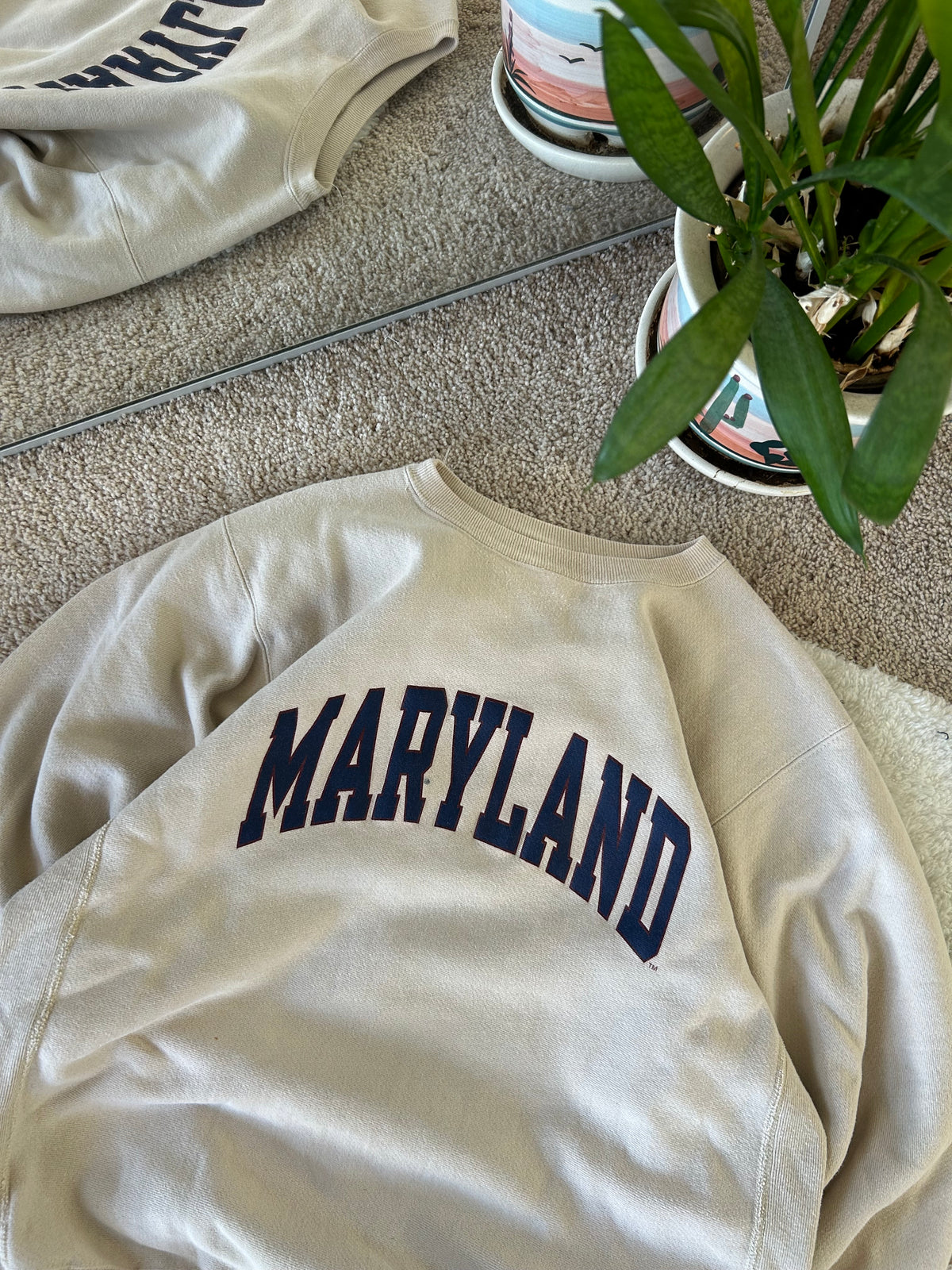 90s Champion UMD Reverse Weave Sweater