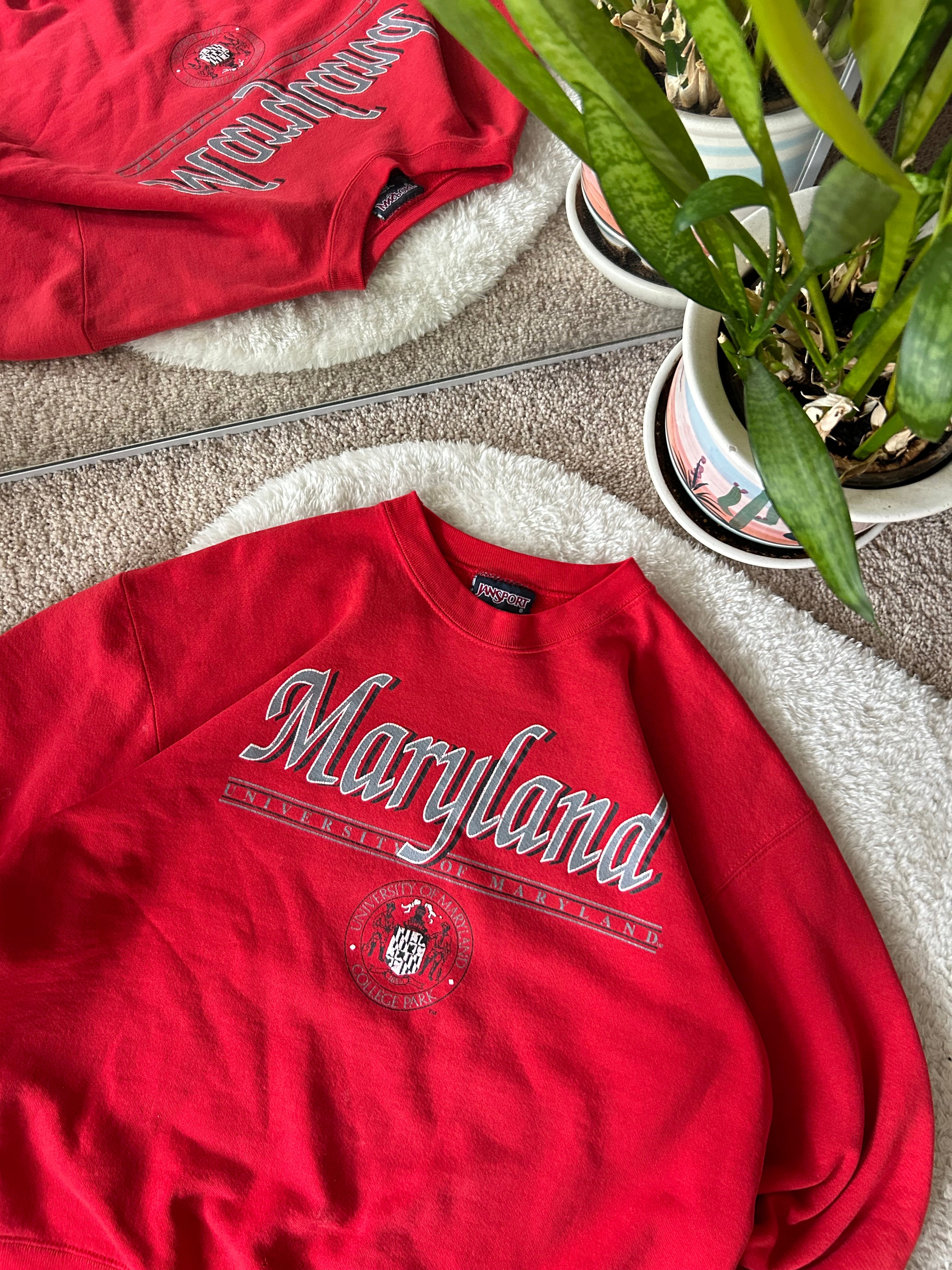 【IONSEOUL】Floyd vintage printed sweatshirt 4JH440 B8922B15-79E8-4CF1-AE2D-