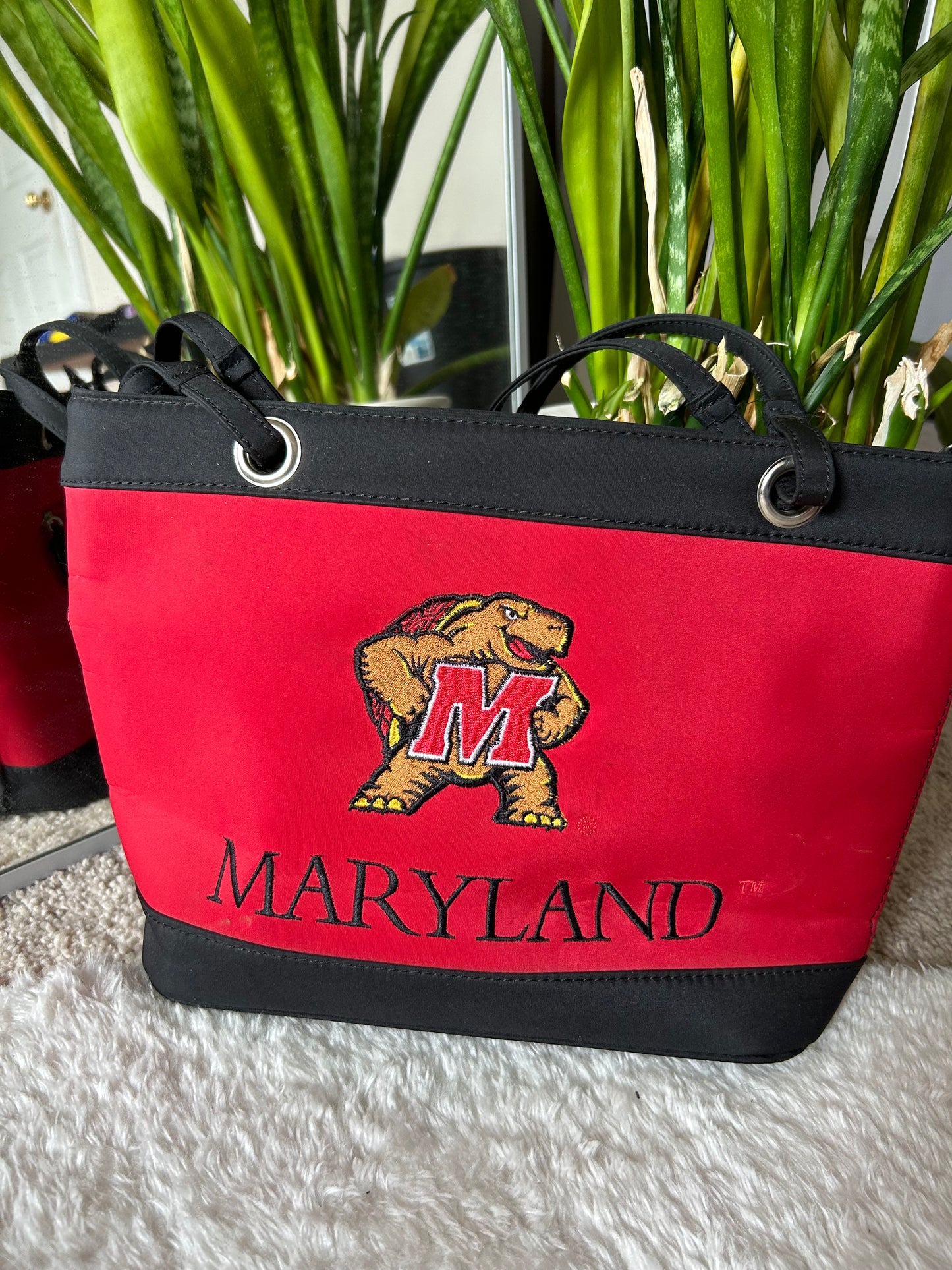 Early 2000s UMD Bag