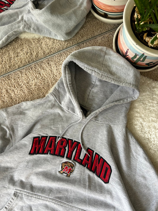 Y2K Embroidered UMD Hoodie