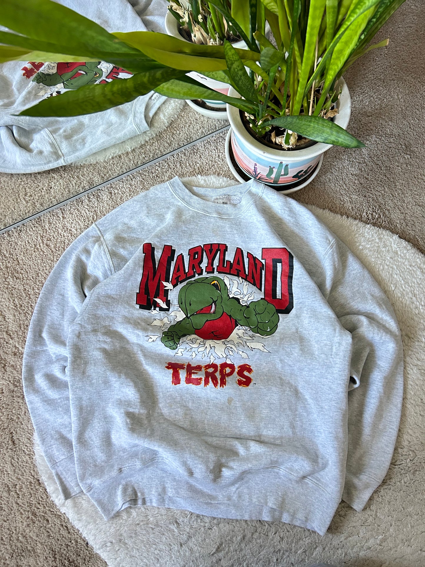 90s UMD Turtle Explosion Sweater