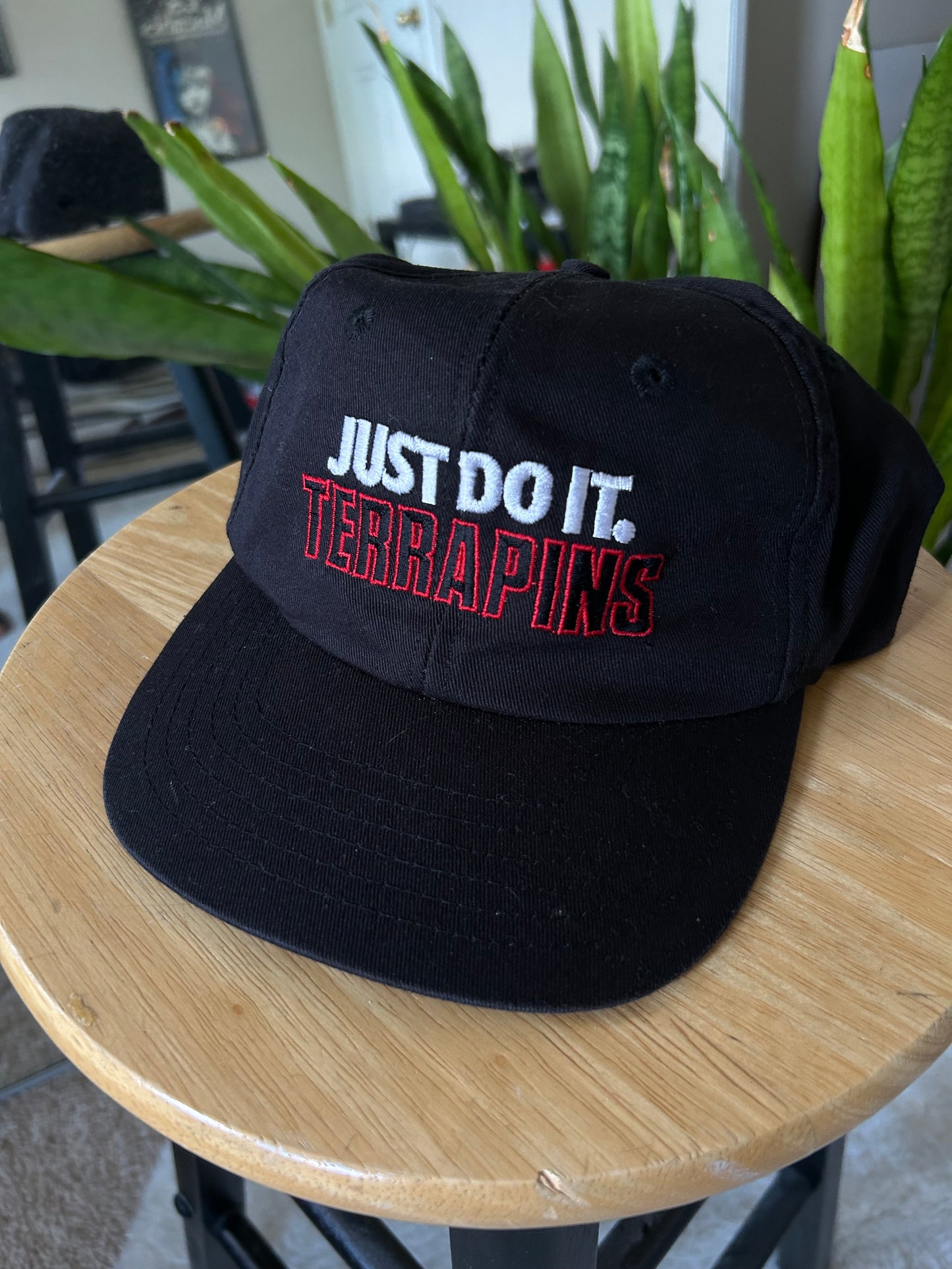 Vintage ✔️ UMD SnapBack