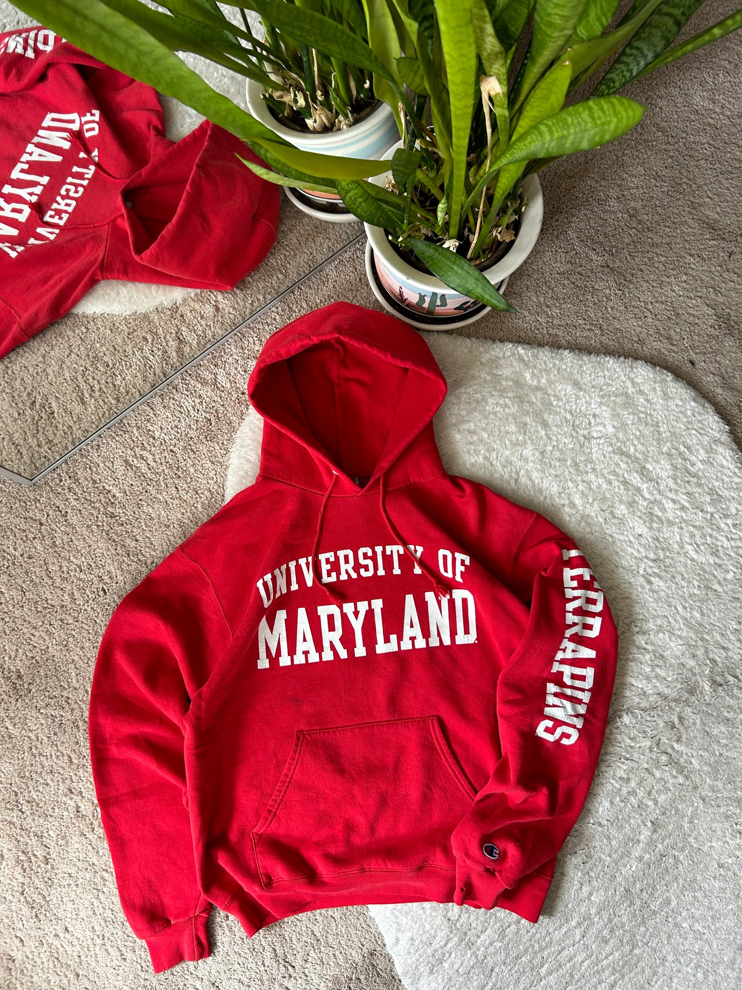 Champion UMD Terp Hoodie