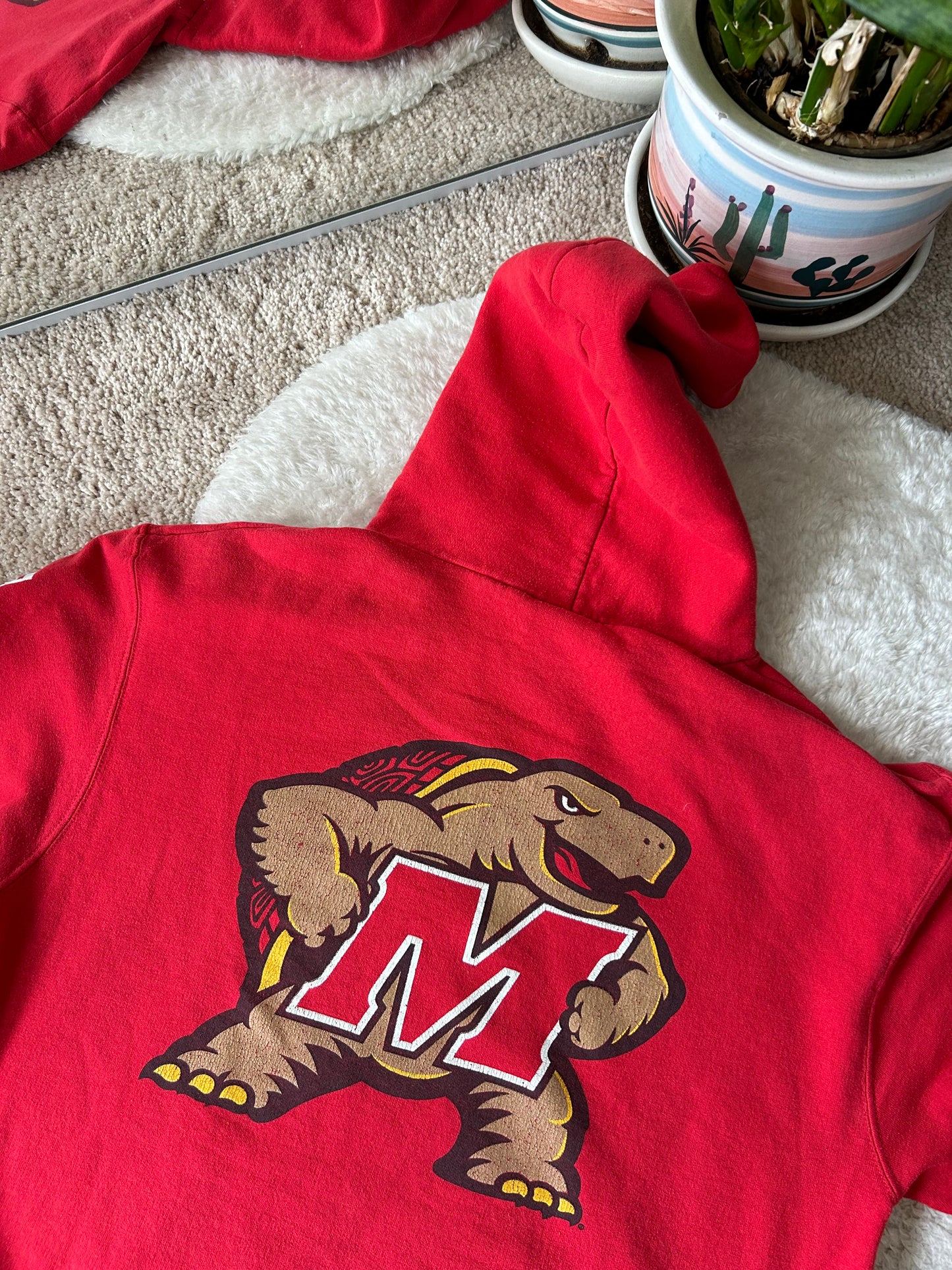 Champion UMD Terp Hoodie