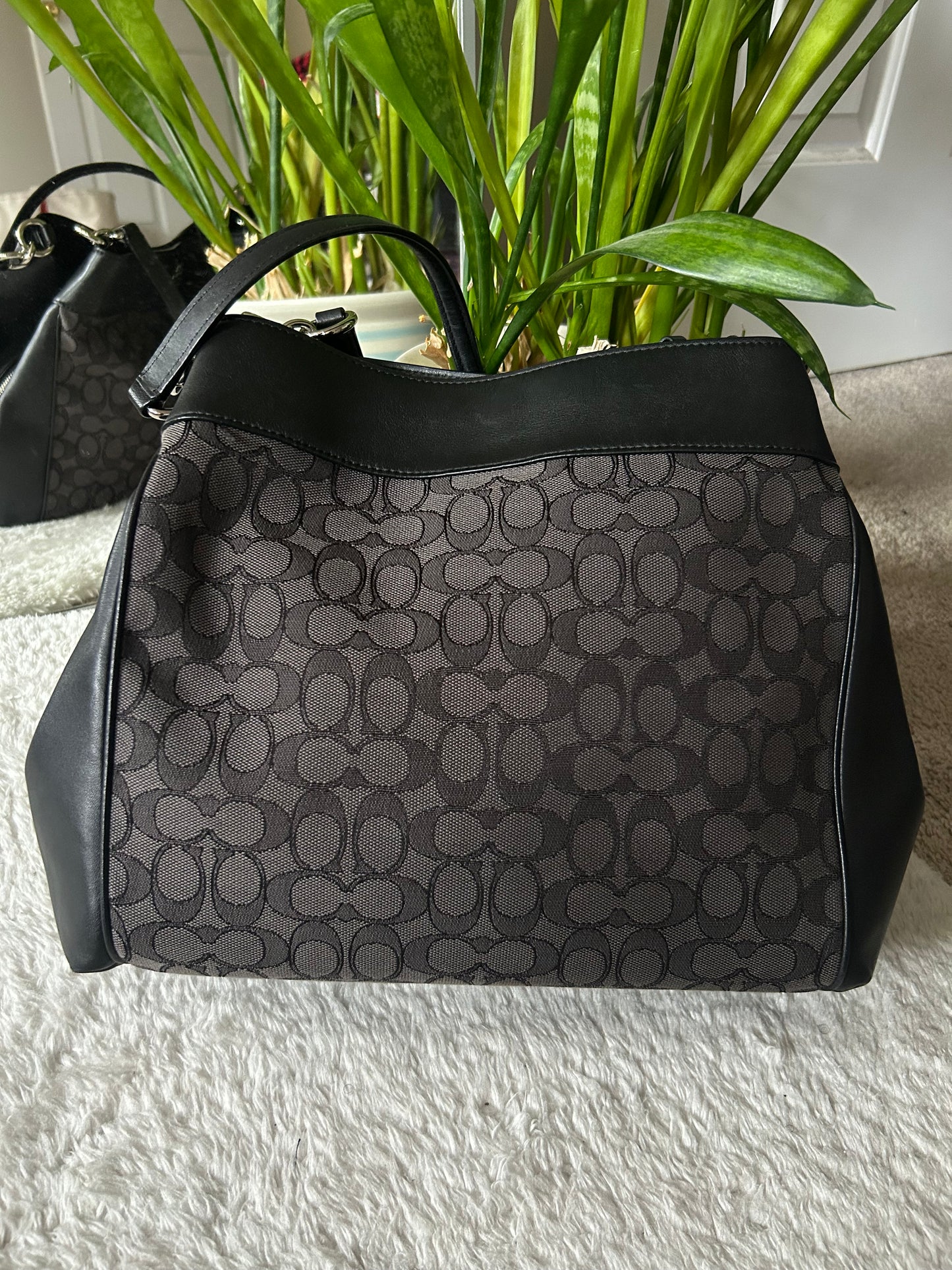 Coach Lexy Shoulder Bag