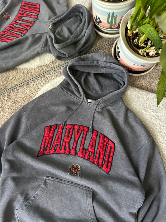 Y2K UMD Hoodie