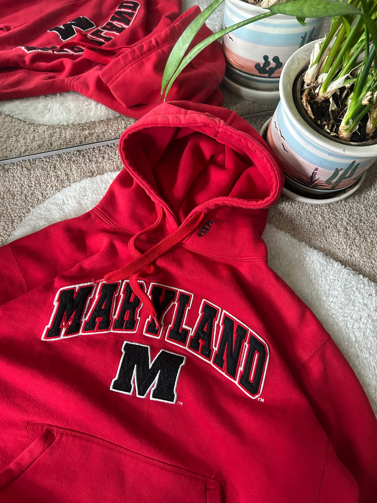 Vintage UMD Hoodie