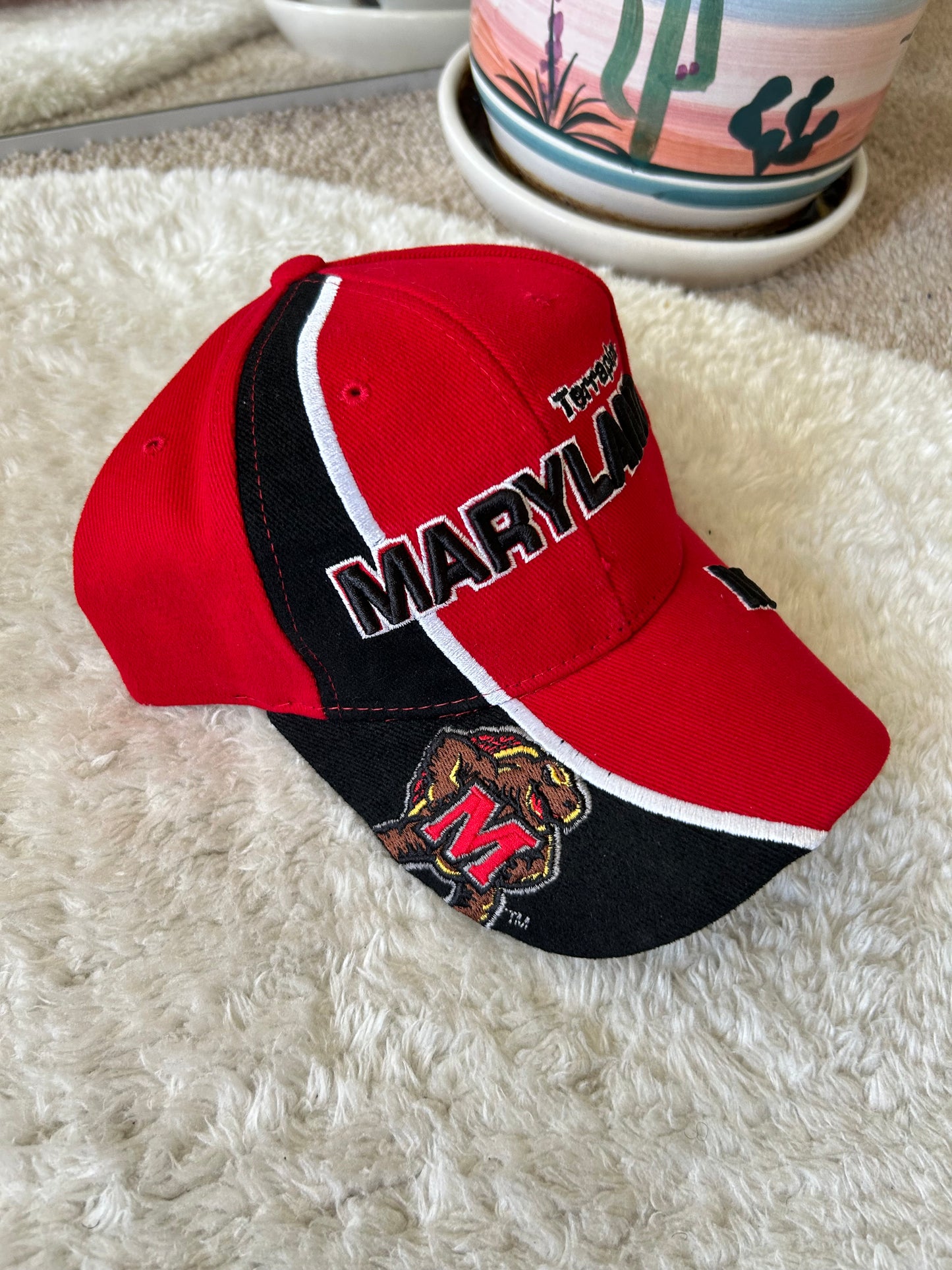 Vintage UMD Dad hat