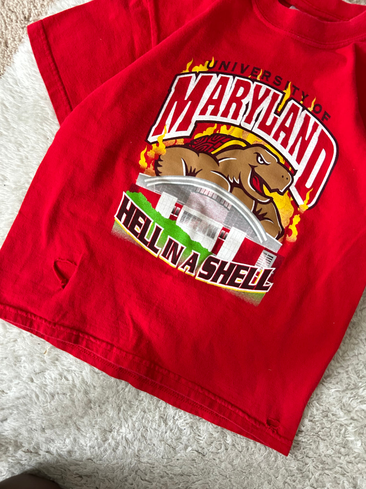 Vintage UMD Youth Hell in the Shell tee