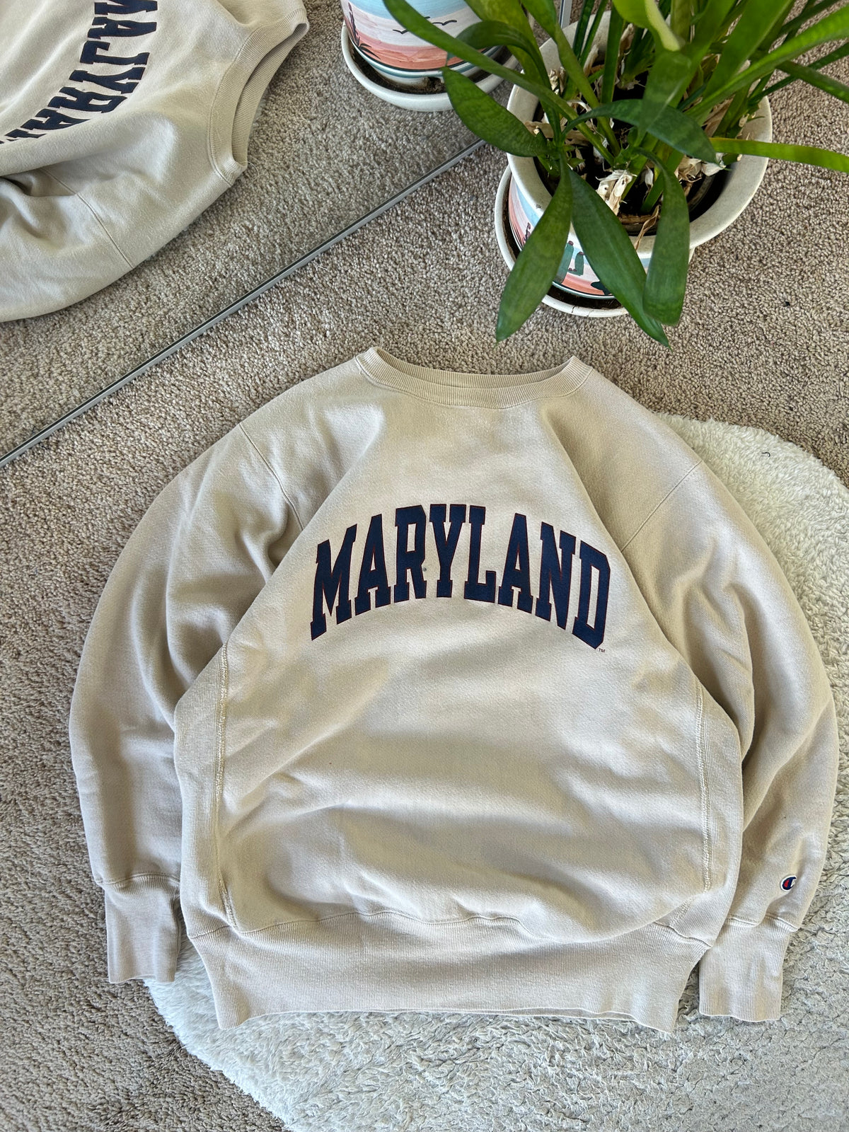 90s Champion UMD Reverse Weave Sweater