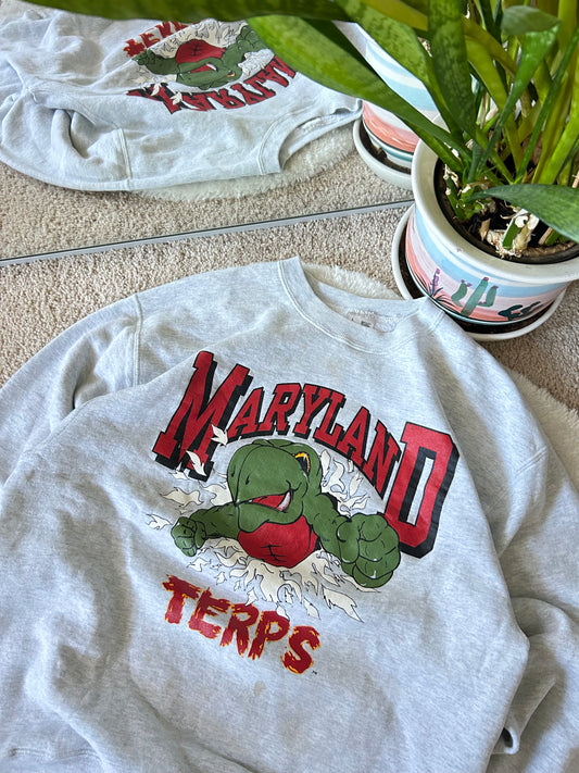 90s UMD Turtle Explosion Sweater