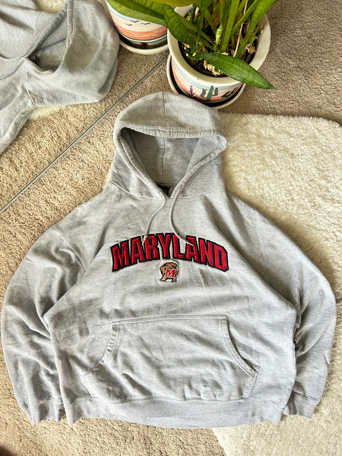 Y2K Embroidered UMD Hoodie