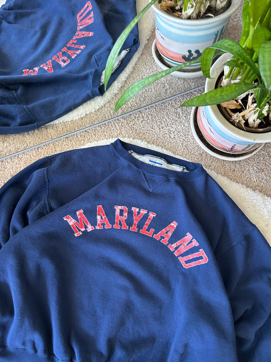 Vintage UMD Navy Spellout Sweater