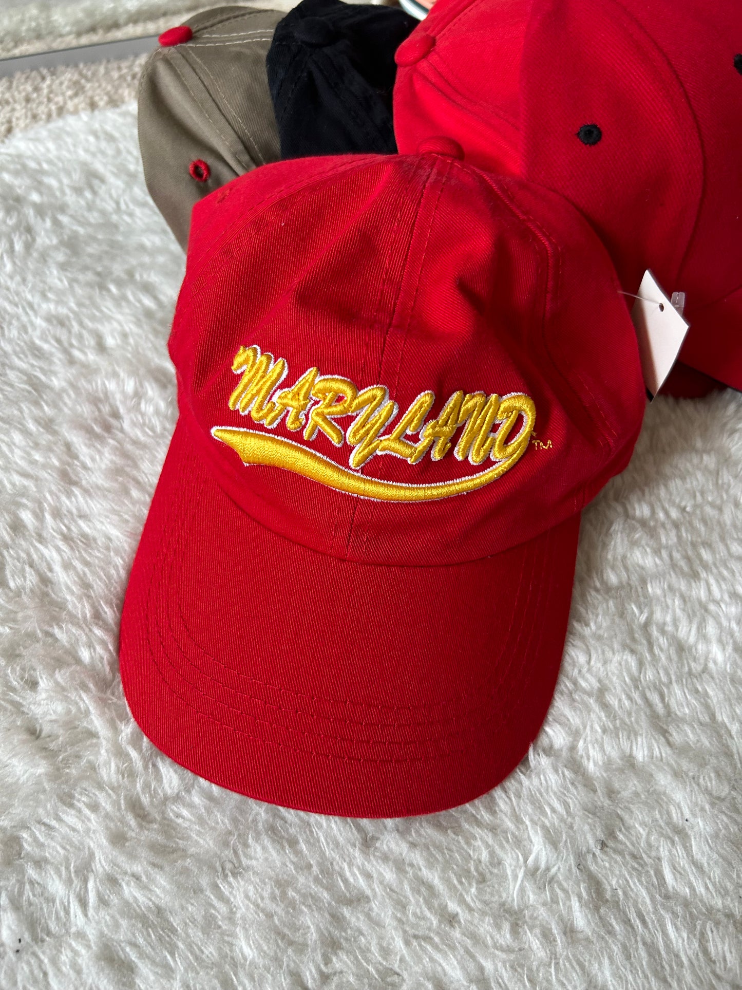 Embroidered UMD Dad Hat