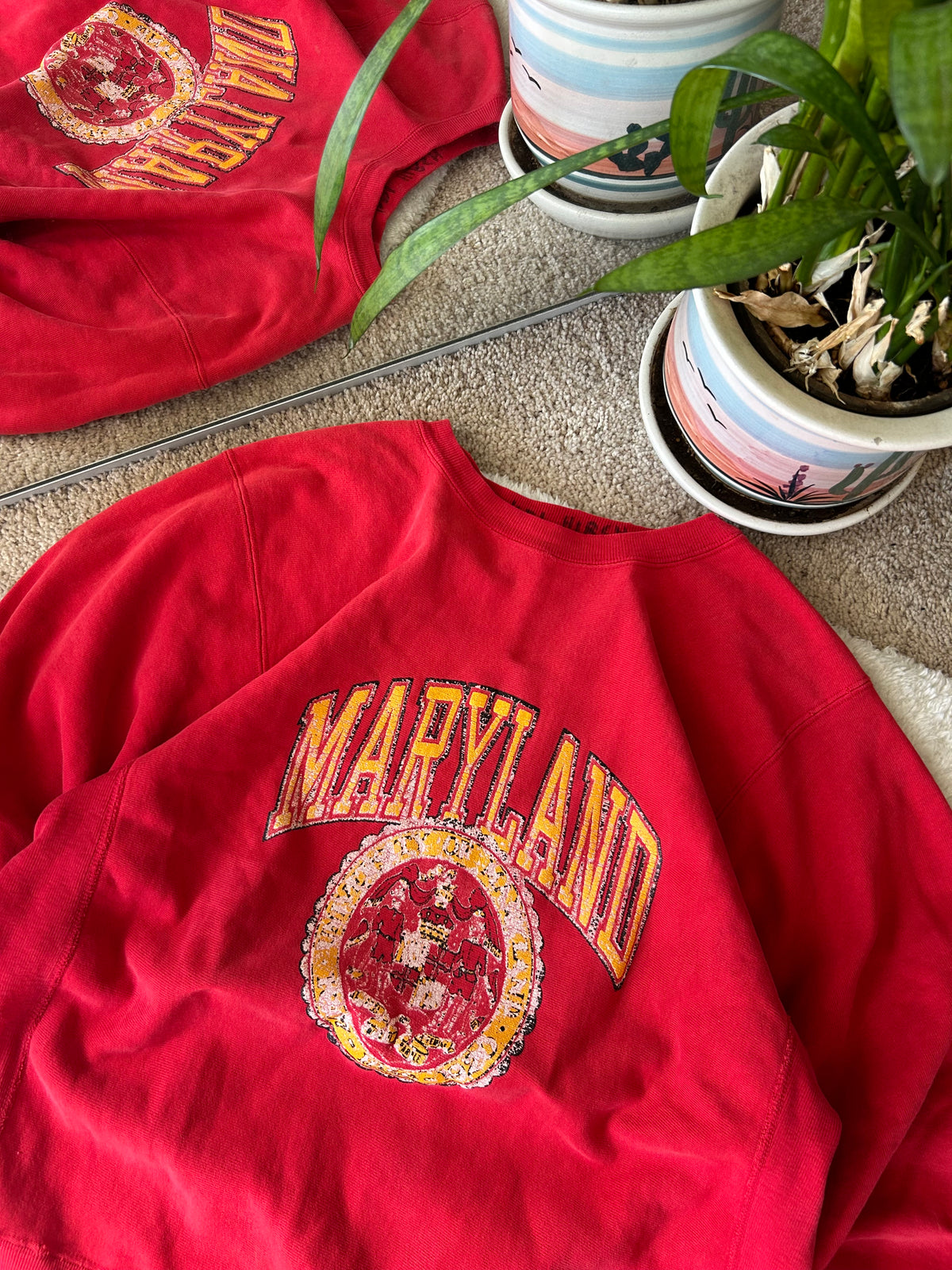 80s UMD Champion Sweater